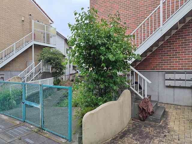 真夏の植栽剪定（共用部清掃のソラダム）