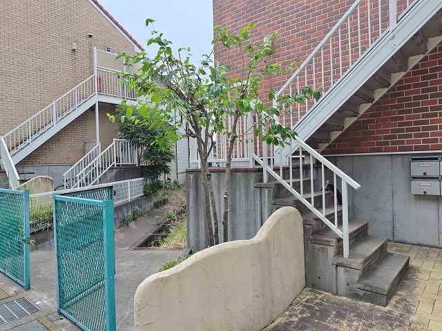 真夏の植栽剪定（共用部清掃のソラダム）