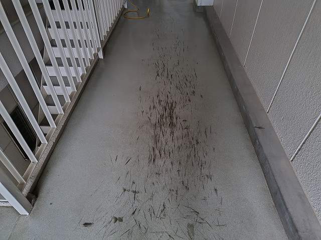 ヒールマークを除去(共用部清掃のソラダム)